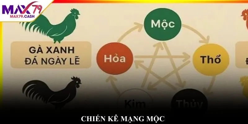 Chiến kê mạng mộc