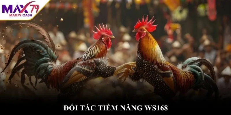 Đối tác tiềm năng WS168