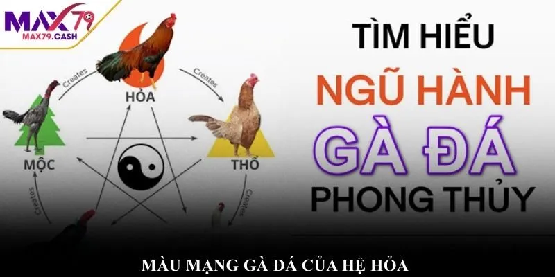 Màu mạng gà đá của hệ hỏa