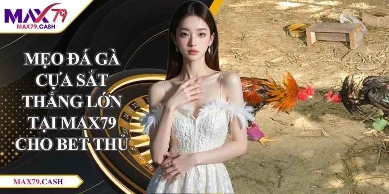 mẹo đá gà cựa sắt