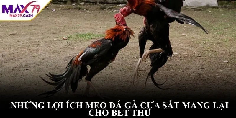 Những lợi ích mẹo đá gà cựa sắt mang lại cho bet thủ