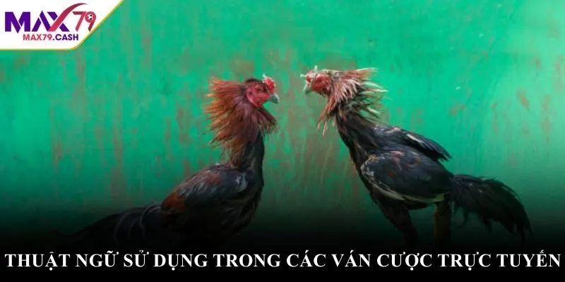 Thuật ngữ sử dụng trong các ván cược trực tuyến